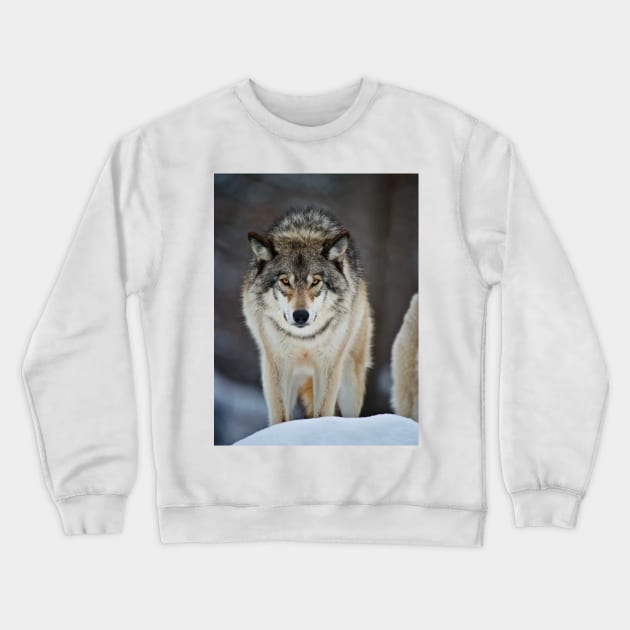 Gray Wolf Crewneck Sweatshirt by jaydee1400